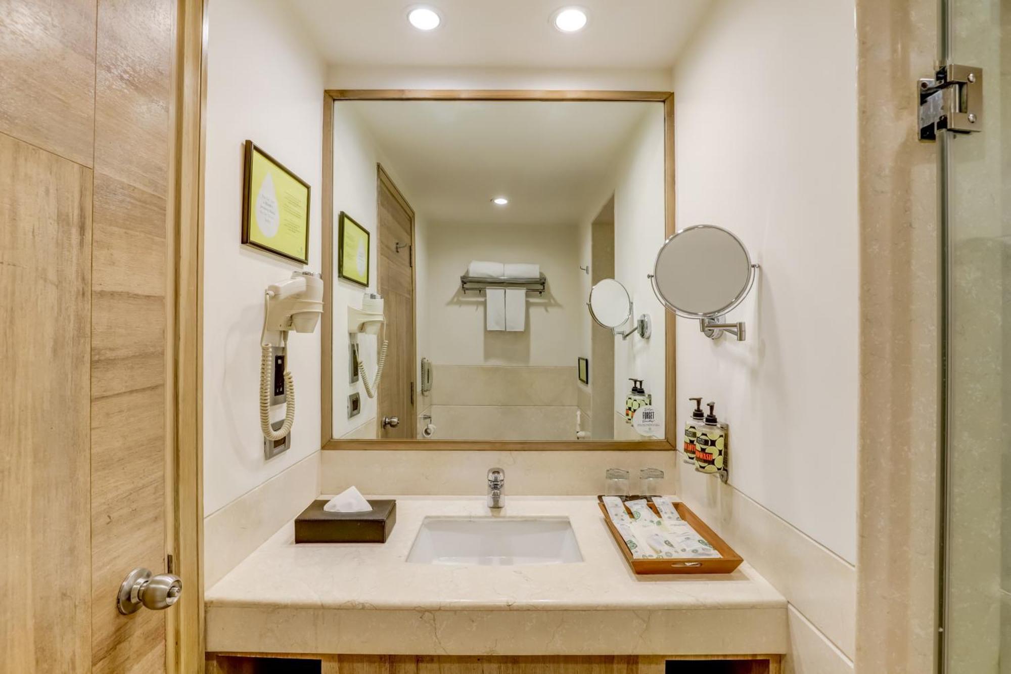 德里机场柠檬树酒店 新德里 外观 照片 Bathroom